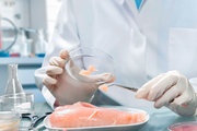 Специалисты лаборатории провели почти тысячу экспертиз мяса и мясной продукции с начала года