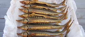 В лаборатории рассказали о потенциальной опасности употребления в пищу недостаточно обработанной рыбы