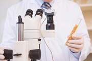 Специалисты лаборатории провели с начала года 930 экспертиз семян кукурузы