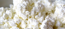 Исследования Северо-Кавказского филиала выявили превышение показателя «дрожжи» в молочной продукции