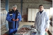 Отбор проб рыбопосадочного материала в СПК племзавод "Ставропольский".