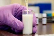 Молоко на цезий и стронций исследуют в Северо-Кавказском филиале
