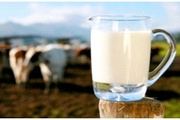 О превышении содержания соматических клеток  и КМАФАнМ в молоке