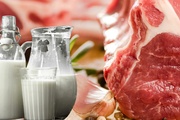 В России стали больше выпускать мяса и молока