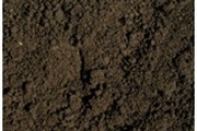 Об обнаружении синегнойной палочки в почве