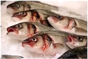 О выявлении возбудителя анизакидоза морских рыб