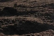 О выявлении нефтепродуктов в образцах почвы