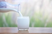Бактериальная обсемененность молока