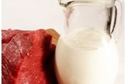 О выявлении антибиотиков в молоке и мясе.