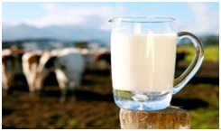 О превышении содержания соматических клеток  и КМАФАнМ в молоке