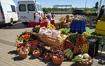 Лучших овец и коз страны собрали на всероссийской выставке в Ставропольском крае