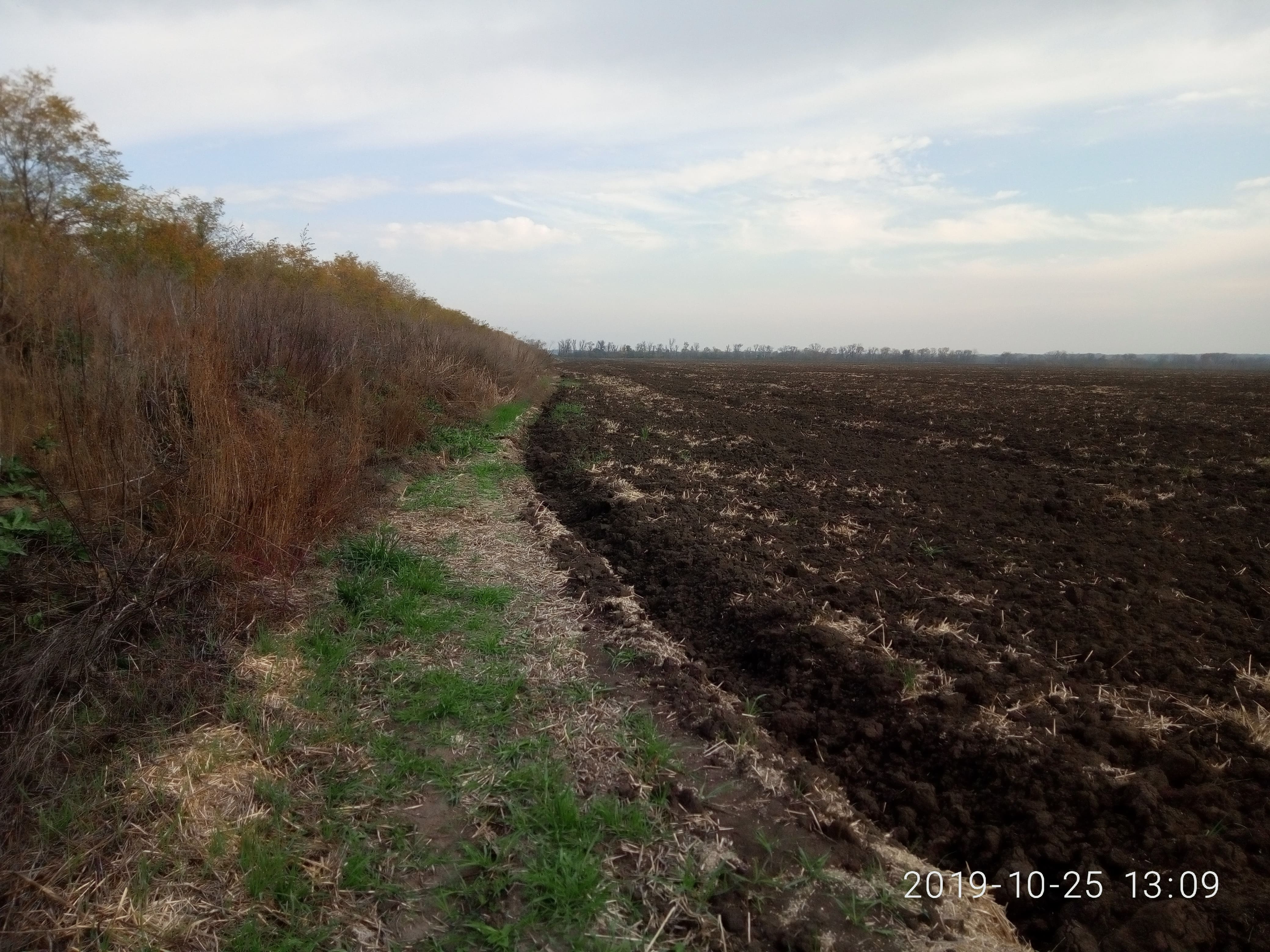 Показатели почвенного плодородия.  Органическое вещество почвы.