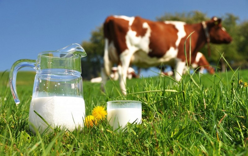 О проведений исследований молока сырого