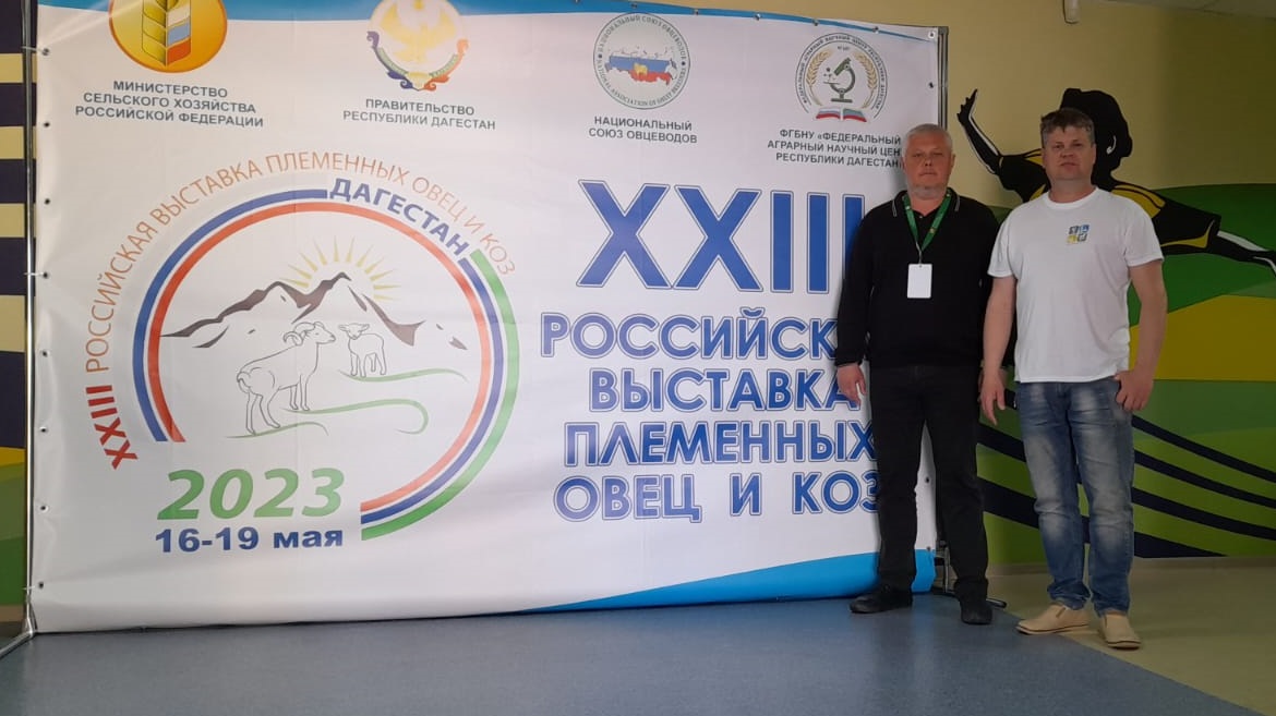 «Северо-Кавказская МВЛ» получила благодарность за участие в российской выставке племенных овец и коз в Дагестане