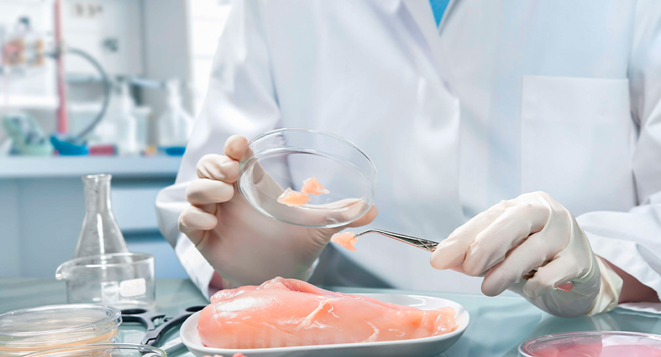 Специалисты лаборатории провели почти тысячу экспертиз мяса и мясной продукции с начала года