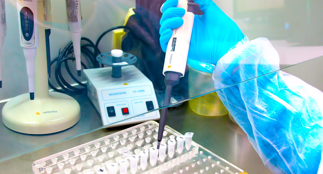 Более 750 исследований на наличие ГМО в различной продукции провели в лаборатории