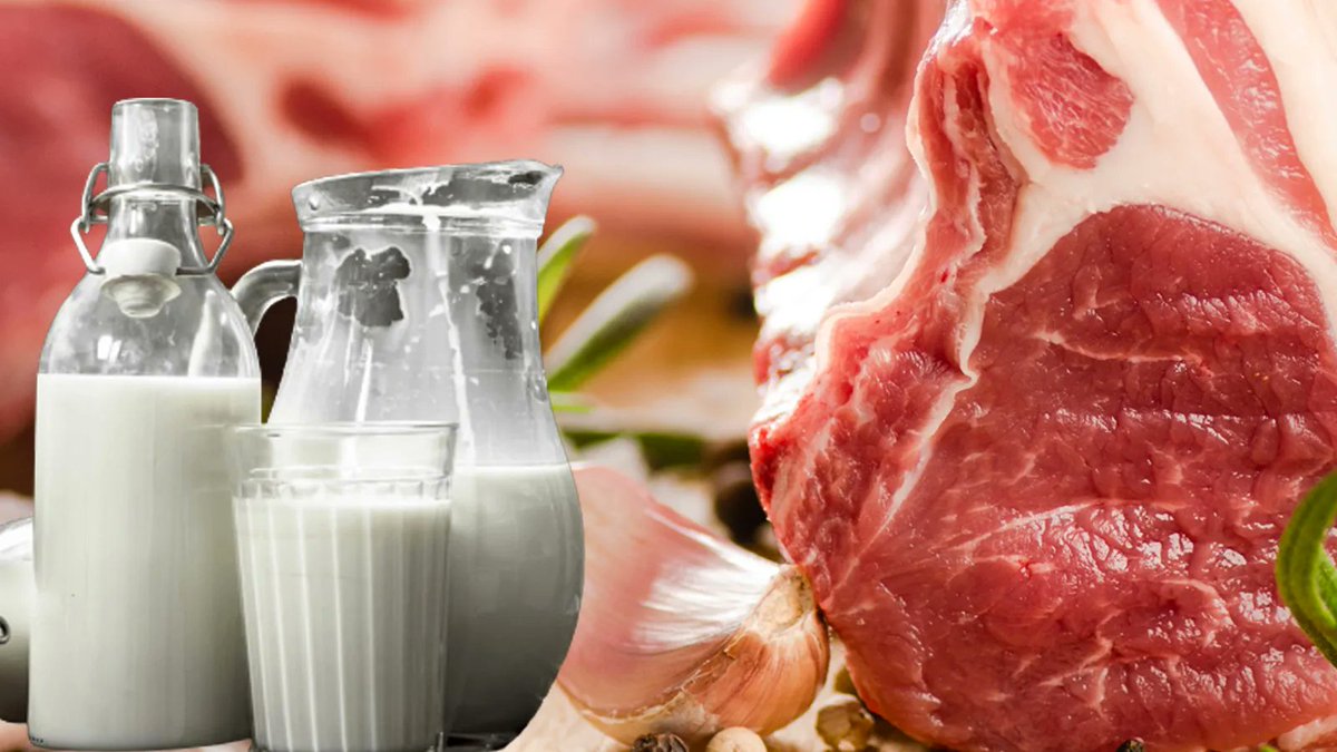 В России стали больше выпускать мяса и молока