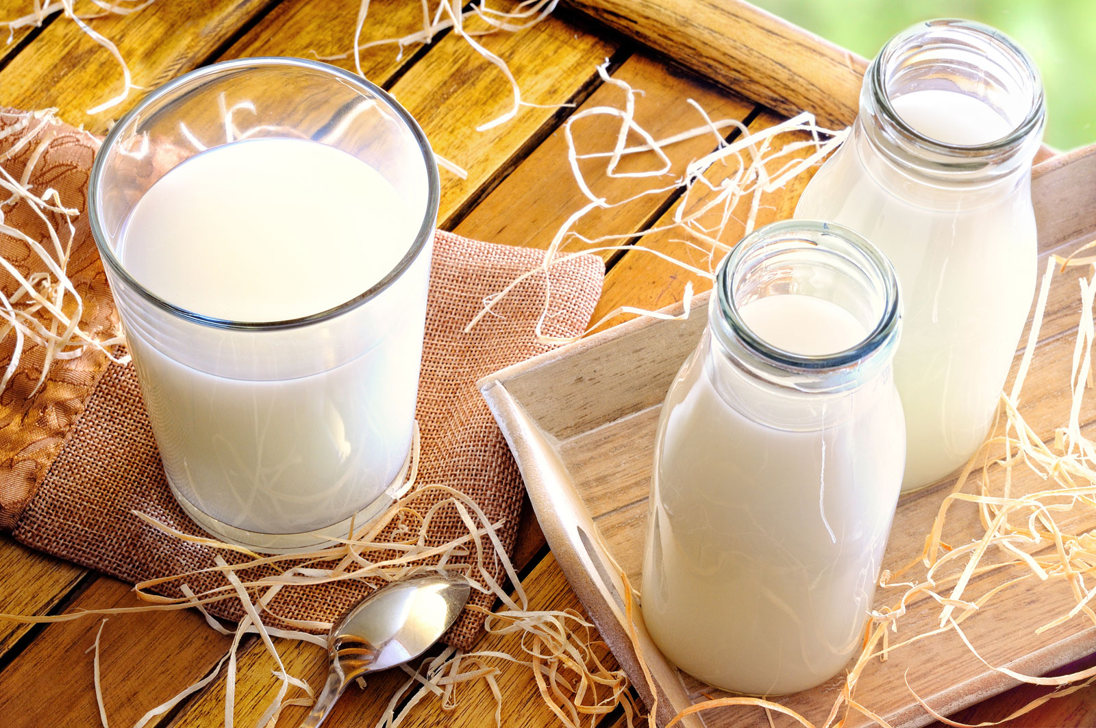 Пробы сырого коровьего молока указали на нарушение гигиены при производстве